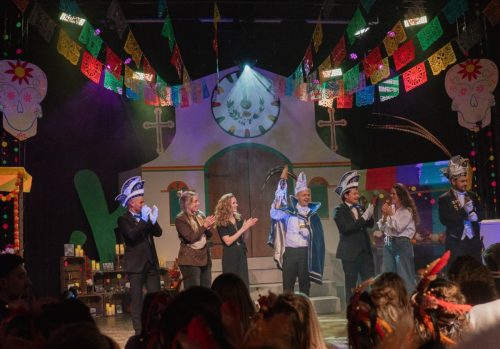 Prinsenbal 176-groot